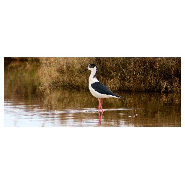 PHOTO84, CLUB, 84 , LUBERON